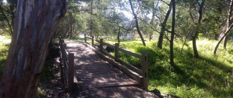 COMFORT INN COACH AND BUSHMANS - eAccommodation 4