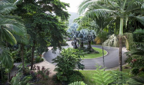 Oasis At Palm Cove - eAccommodation 7