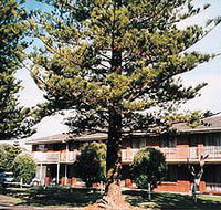 Eastern Beach Holiday Units - eAccommodation