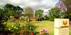 Houghton Winery - eAccommodation 0