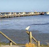 Seaview Motel and Holiday Units - eAccommodation