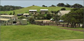 Cape Schanck VIC eAccommodation