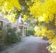 Surfcoast Retreat - eAccommodation