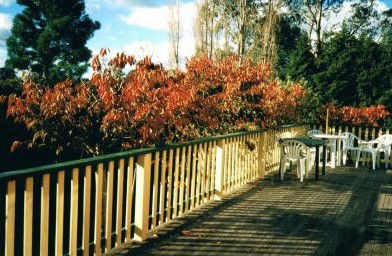 Heronswood House - eAccommodation 5