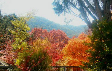 ELLENVALE HOLIDAY UNITS - eAccommodation 1