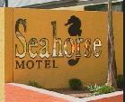 Seahorse Motel - eAccommodation 1