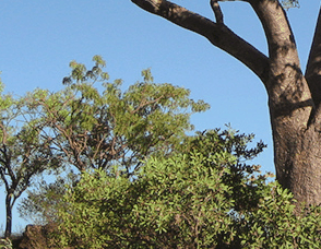 Lakeview Apartments Kununurra - eAccommodation 3