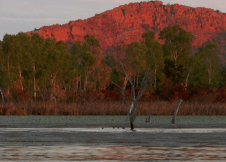 Lakeview Apartments Kununurra - eAccommodation 4