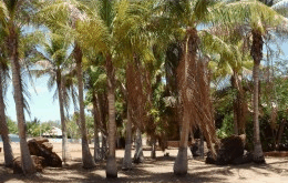King Sound Resort Hotel - eAccommodation