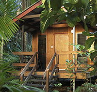 Cape Trib Beach House - eAccommodation
