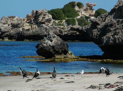 Beachside Apartment Hotel - eAccommodation 2