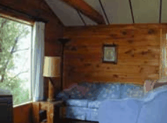 The Pines Resort - eAccommodation 0