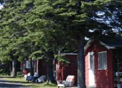 The Pines Resort - eAccommodation 3