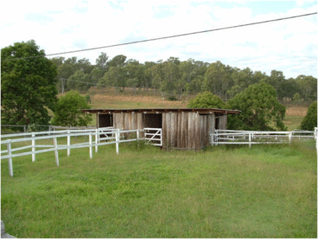 Jacaranda Motor Lodge - eAccommodation 1