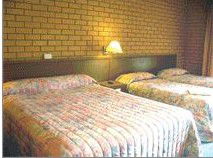 Bega Village Motor Inn - eAccommodation 3