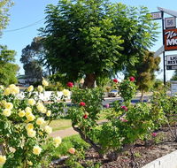 Narrogin Motel - eAccommodation