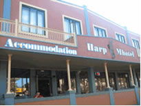 Harp Deluxe Hotel - eAccommodation 0