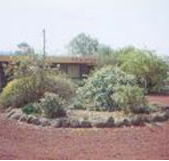 Beaufort Motel - eAccommodation