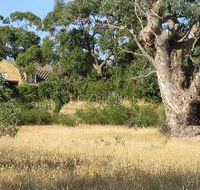 Wings Barossa Bird and Bush Retreat