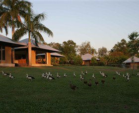 Feathers Sanctuary - eAccommodation 0