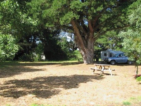 Millicent Hillview Caravan Park - eAccommodation 1