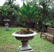Bangalow Retreat - eAccommodation