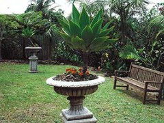 Bangalow Retreat - eAccommodation 0