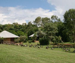 Feathers Sanctuary - eAccommodation 3