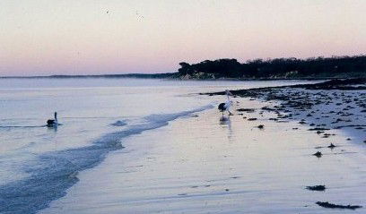 Destrees Bay SA eAccommodation