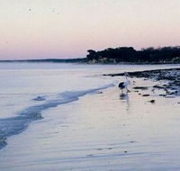 Loverings Beach House - D'estrees Bay - eAccommodation