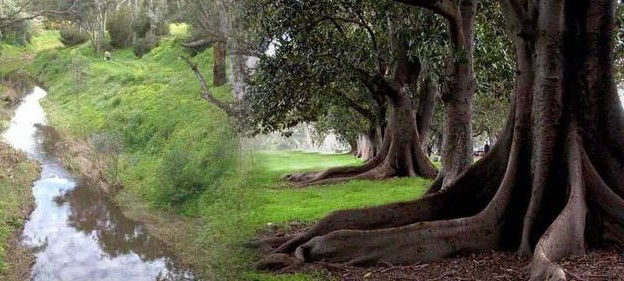 Gawler SA eAccommodation