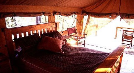 Jabiru Safari Lodge At Mareeba Wetlands - eAccommodation 1