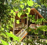 Rivers Edge Rainforest Retreat - eAccommodation