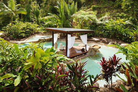 Misty Mountains Tropical Rainforest Romantic Retreat - eAccommodation 3