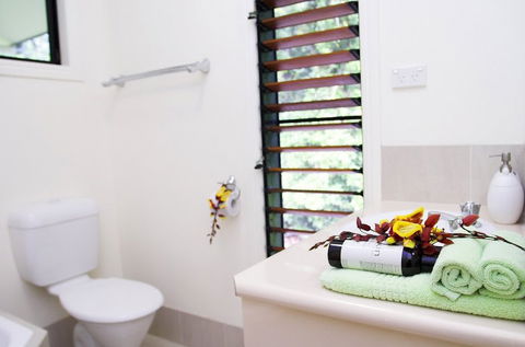 Misty Mountains Tropical Rainforest Romantic Retreat - eAccommodation 5