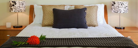 Misty Mountains Tropical Rainforest Romantic Retreat - eAccommodation 7
