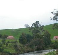 Tin Dragon Trail Cottages - eAccommodation