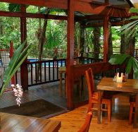 Daintree Wilderness Lodge - eAccommodation