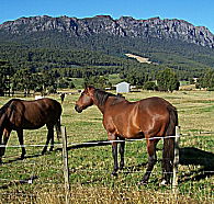 Hurlfield Farm Cottage