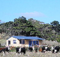 Marrawah Beach House - eAccommodation