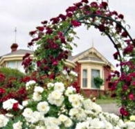 Golden Embers Apartments and B and B - eAccommodation