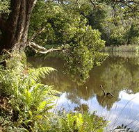 Weldborough Camping Ground - eAccommodation
