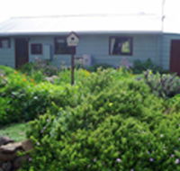 Engadine Cottage - eAccommodation