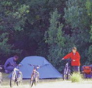 Maria Island Camping Ground - eAccommodation
