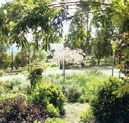 Cherry Park Estate - eAccommodation