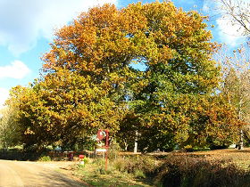 Red Rooster Host Farm - eAccommodation 0