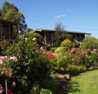 Mole Creek Holiday Village - eAccommodation