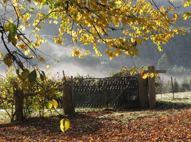 Red Rooster Host Farm - eAccommodation 2