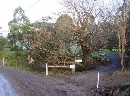 Eaglehawk Neck Backpackers - eAccommodation 1