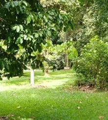 Kingfisher Park Birdwatchers Lodge - eAccommodation 0